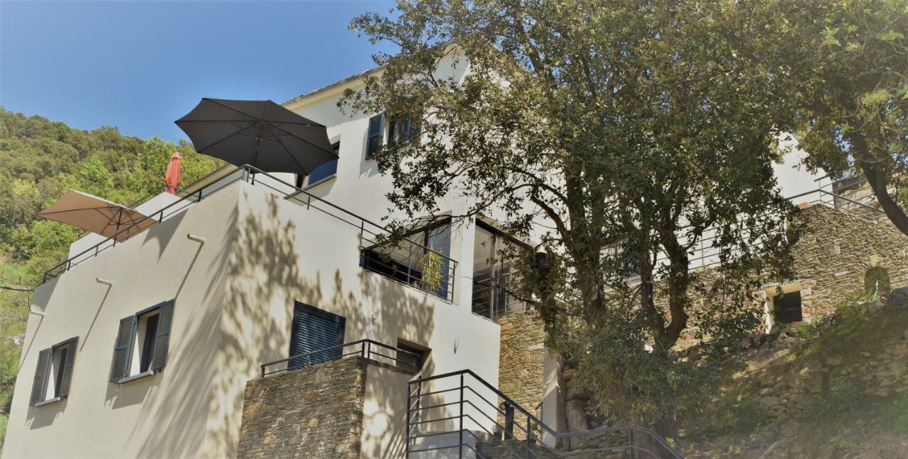 Villa A Casa Di Campa Oletta  Exterior foto